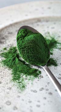 spirulina-in-dieta
