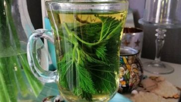 Ceai de urzica facut acasa
