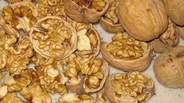 miez-de-nuca-beneficii