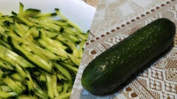 castraetii-alimentul-de-slabire