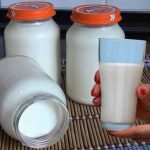 iaurt-grecesc-de-casa